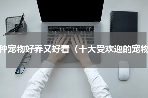 哪种宠物好养又好看（十大受欢迎的宠物）