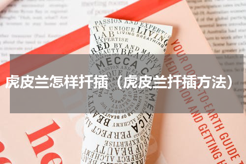 虎皮兰怎样扦插（虎皮兰扦插方法）