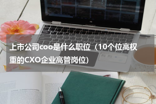 上市公司coo是什么职位（10个位高权重的CXO企业高管岗位）