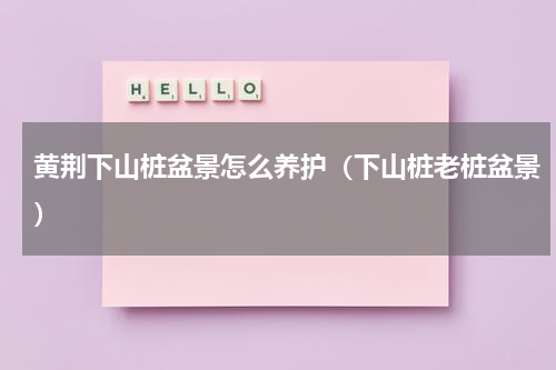 黄荆下山桩盆景怎么养护（下山桩老桩盆景）