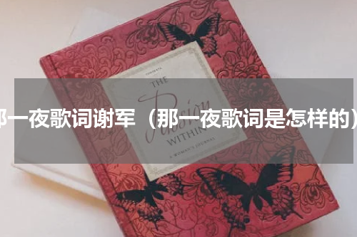 那一夜歌词谢军（那一夜歌词是怎样的）