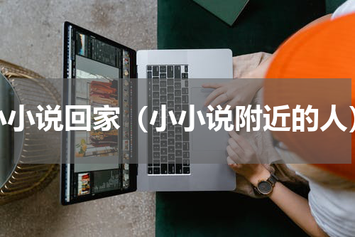 小小说回家（小小说附近的人）