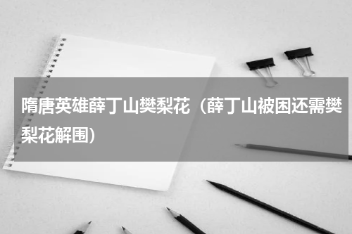 隋唐英雄薛丁山樊梨花（薛丁山被困还需樊梨花解围）