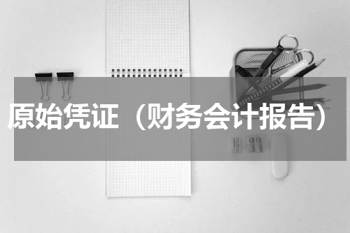 原始凭证（财务会计报告）