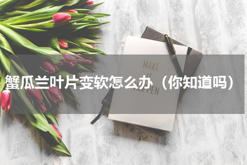 蟹瓜兰叶片变软怎么办（你知道吗）