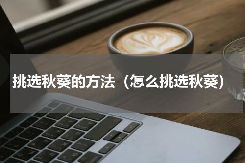 挑选秋葵的方法（怎么挑选秋葵）