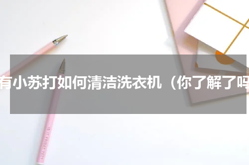 没有小苏打如何清洁洗衣机（你了解了吗）