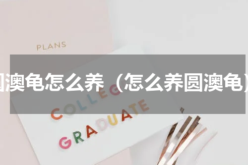 圆澳龟怎么养（怎么养圆澳龟）