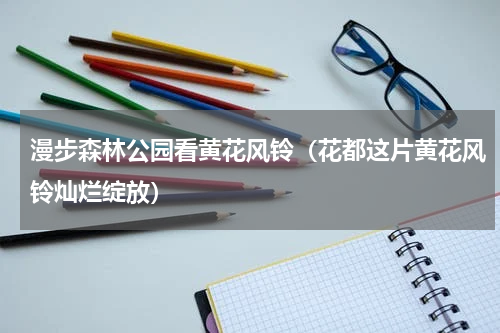 漫步森林公园看黄花风铃（花都这片黄花风铃灿烂绽放）