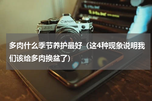 多肉什么季节养护最好（这4种现象说明我们该给多肉换盆了）