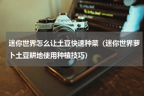 迷你世界怎么让土豆快速种菜（迷你世界萝卜土豆耕地使用种植技巧）