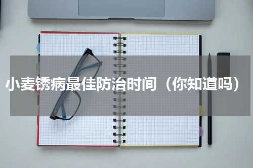 小麦锈病最佳防治时间（你知道吗）