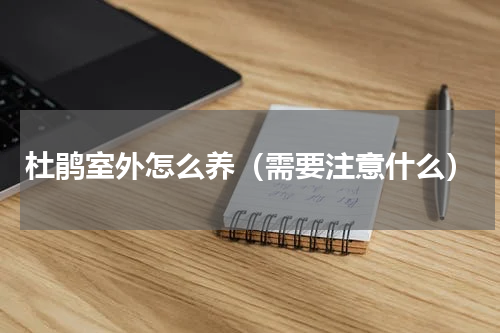 杜鹃室外怎么养（需要注意什么）