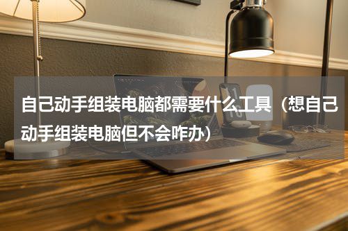 自己动手组装电脑都需要什么工具（想自己动手组装电脑但不会咋办）