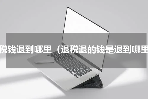 退税钱退到哪里（退税退的钱是退到哪里）