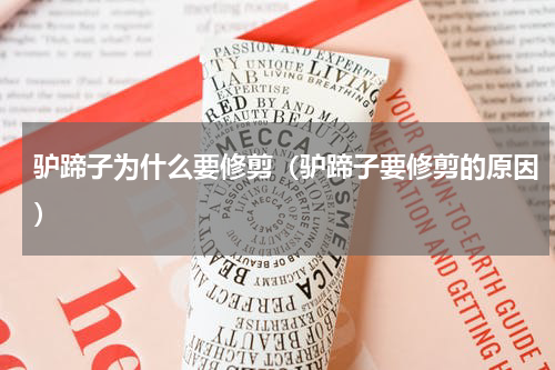 驴蹄子为什么要修剪（驴蹄子要修剪的原因）