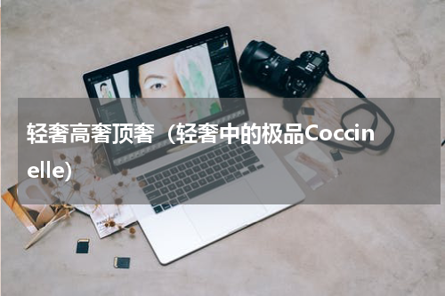 轻奢高奢顶奢（轻奢中的极品Coccinelle）