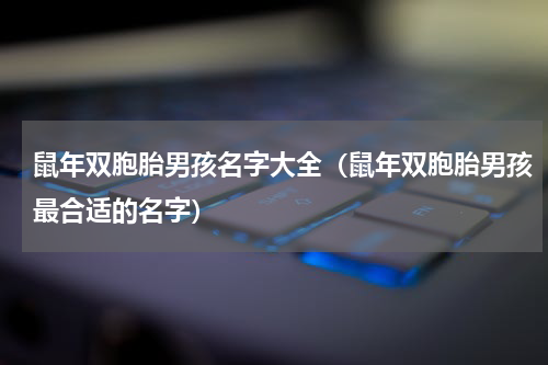鼠年双胞胎男孩名字大全（鼠年双胞胎男孩最合适的名字）