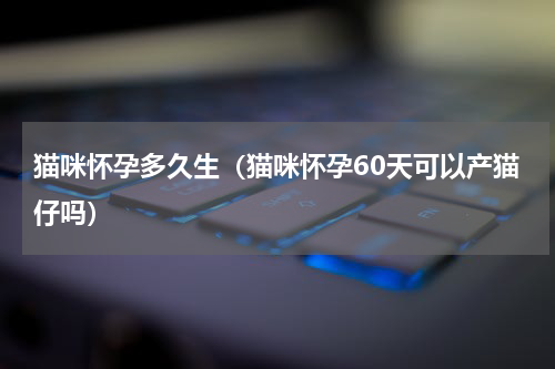 猫咪怀孕多久生（猫咪怀孕60天可以产猫仔吗）