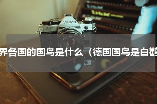 世界各国的国鸟是什么（德国国鸟是白鹳）