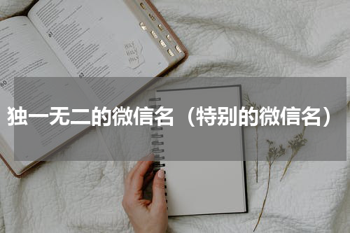 独一无二的微信名（特别的微信名）