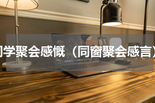 同学聚会感慨（同窗聚会感言）