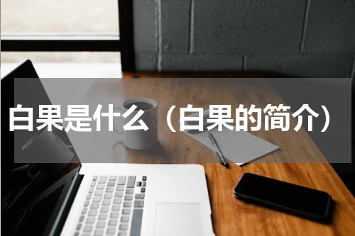 白果是什么（白果的简介）