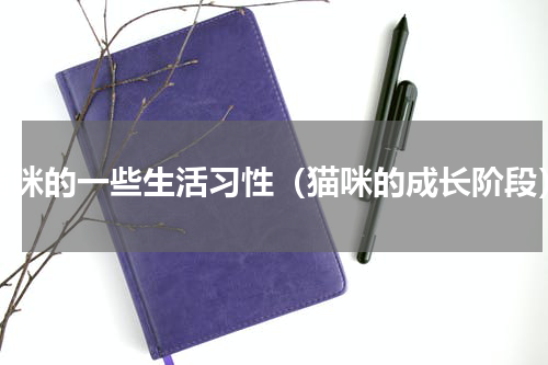 猫咪的一些生活习性（猫咪的成长阶段）