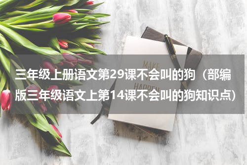 三年级上册语文第29课不会叫的狗（部编版三年级语文上第14课不会叫的狗知识点）