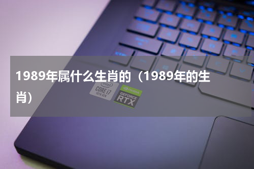 1989年属什么生肖的（1989年的生肖）