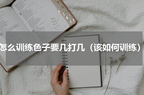 怎么训练色子要几打几（该如何训练）