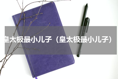 皇太极最小儿子（皇太极最小儿子）