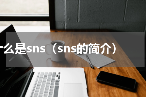 什么是sns（sns的简介）