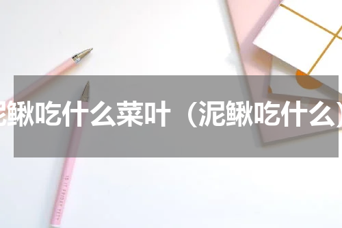 泥鳅吃什么菜叶（泥鳅吃什么）