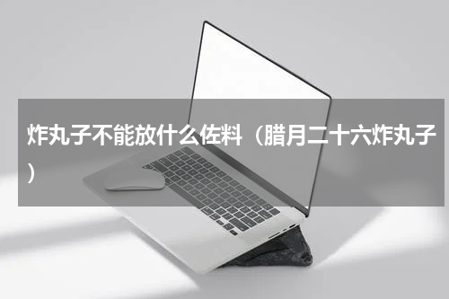 炸丸子不能放什么佐料（腊月二十六炸丸子）