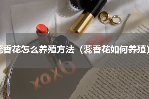 蕊香花怎么养殖方法（蕊香花如何养殖）