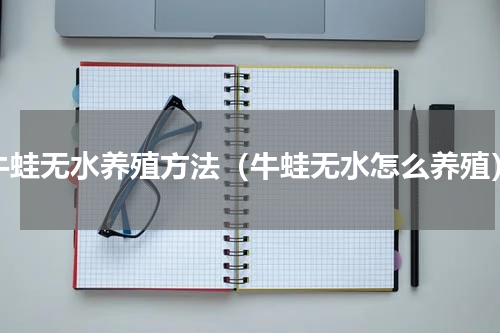 牛蛙无水养殖方法（牛蛙无水怎么养殖）