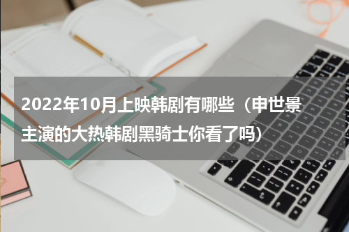 2022年10月上映韩剧有哪些（申世景主演的大热韩剧黑骑士你看了吗）