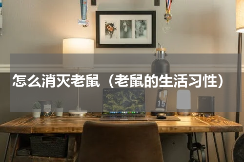 怎么消灭老鼠（老鼠的生活习性）