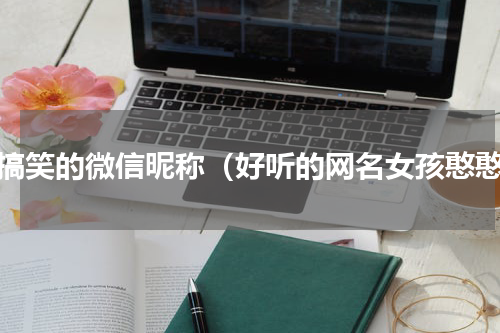 最搞笑的微信昵称（好听的网名女孩憨憨）