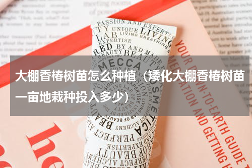 大棚香椿树苗怎么种植（矮化大棚香椿树苗一亩地栽种投入多少）