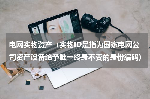 电网实物资产（实物ID是指为国家电网公司资产设备给予唯一终身不变的身份编码）