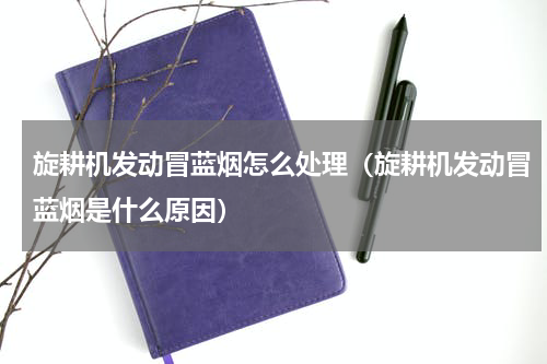 旋耕机发动冒蓝烟怎么处理（旋耕机发动冒蓝烟是什么原因）