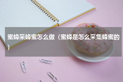 蜜蜂采蜂蜜怎么做（蜜蜂是怎么采集蜂蜜的）