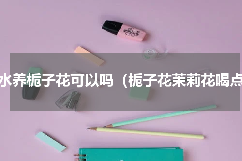 茶水养栀子花可以吗（栀子花茉莉花喝点）