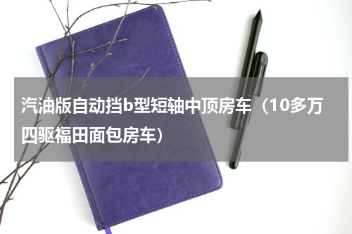 汽油版自动挡b型短轴中顶房车（10多万四驱福田面包房车）