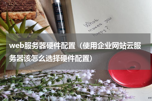 web服务器硬件配置（使用企业网站云服务器该怎么选择硬件配置）