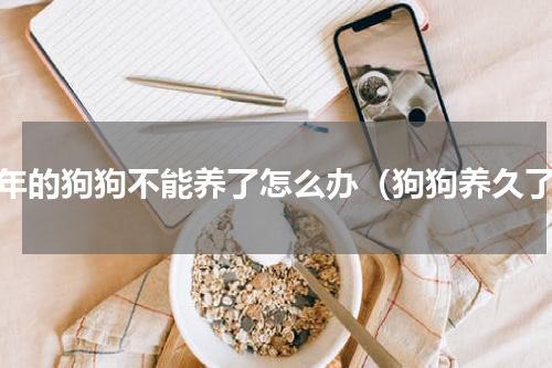 几年的狗狗不能养了怎么办（狗狗养久了）