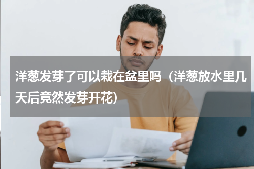 洋葱发芽了可以栽在盆里吗（洋葱放水里几天后竟然发芽开花）