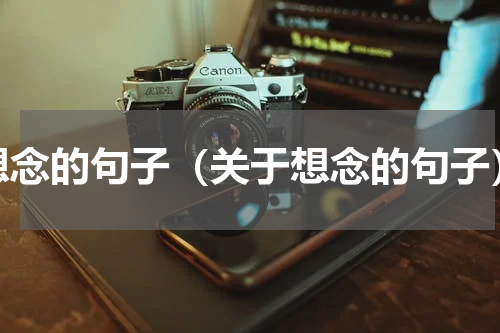 想念的句子（关于想念的句子）